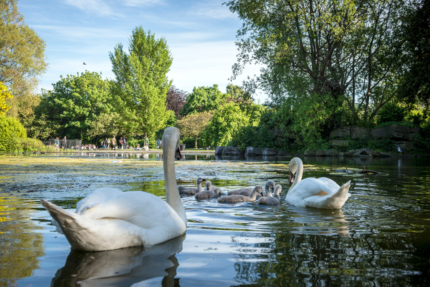 St. Stephens Green