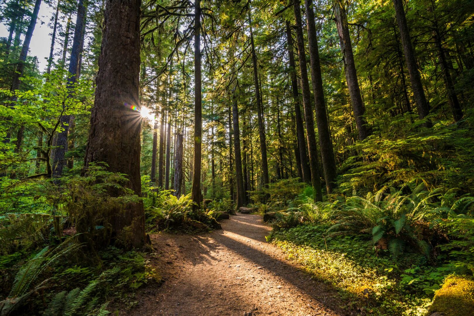 Olympic National Park