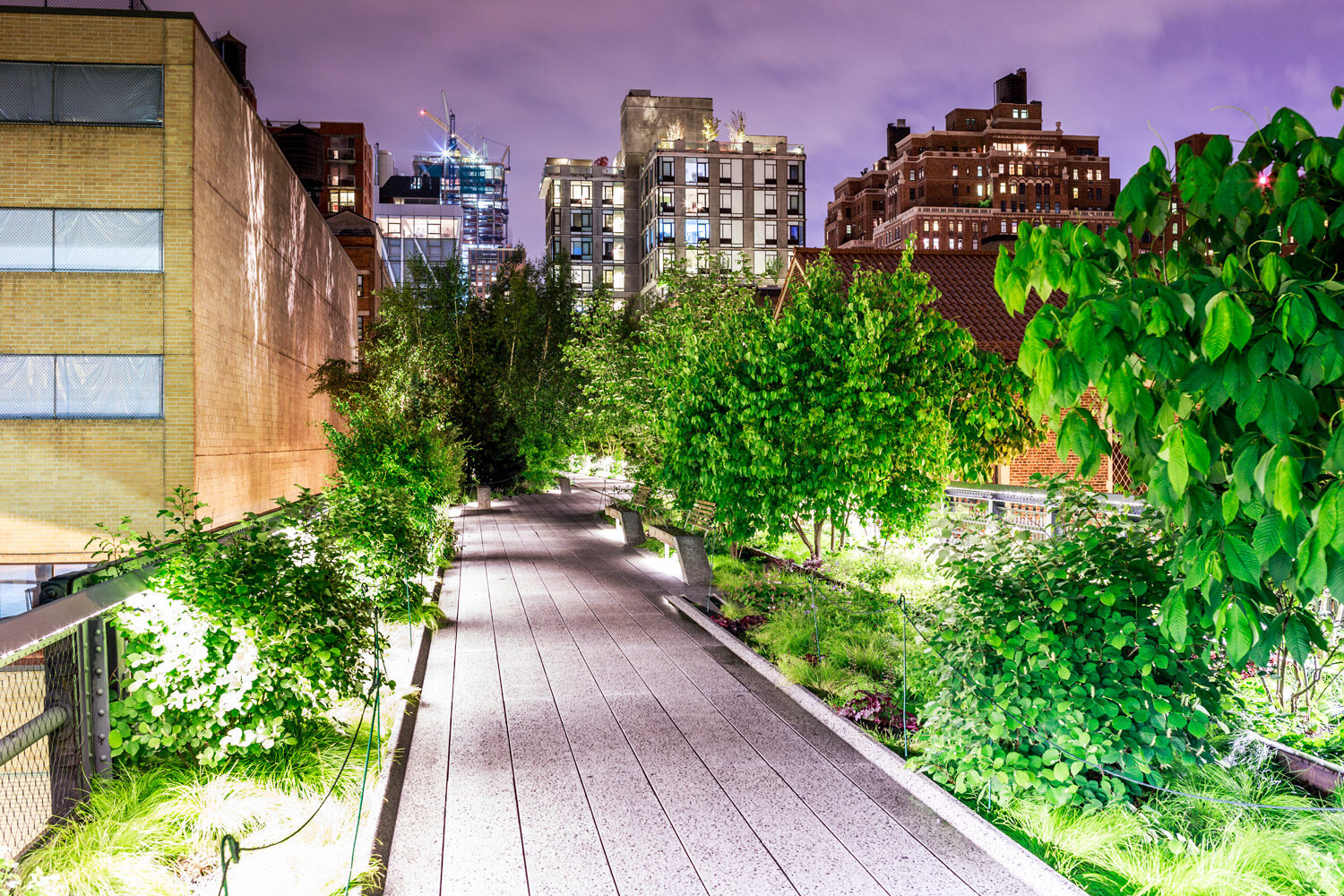 Late evening at High Line Park, New York City